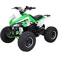 Niños eléctrico Quad S de 14 Speedy 1000 W Miniquad infantil Vehículo midiquad